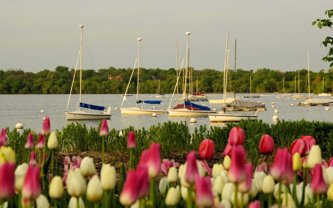 June In The Twin Cities: Music, Food, Concerts, Fun!